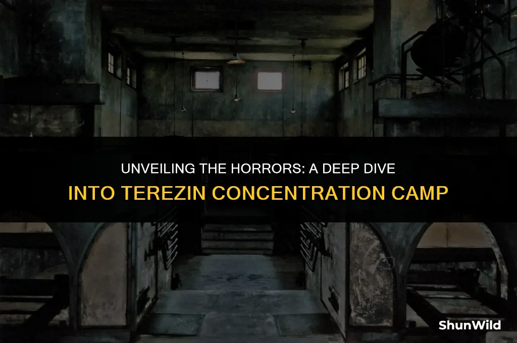 what was the terezin camp