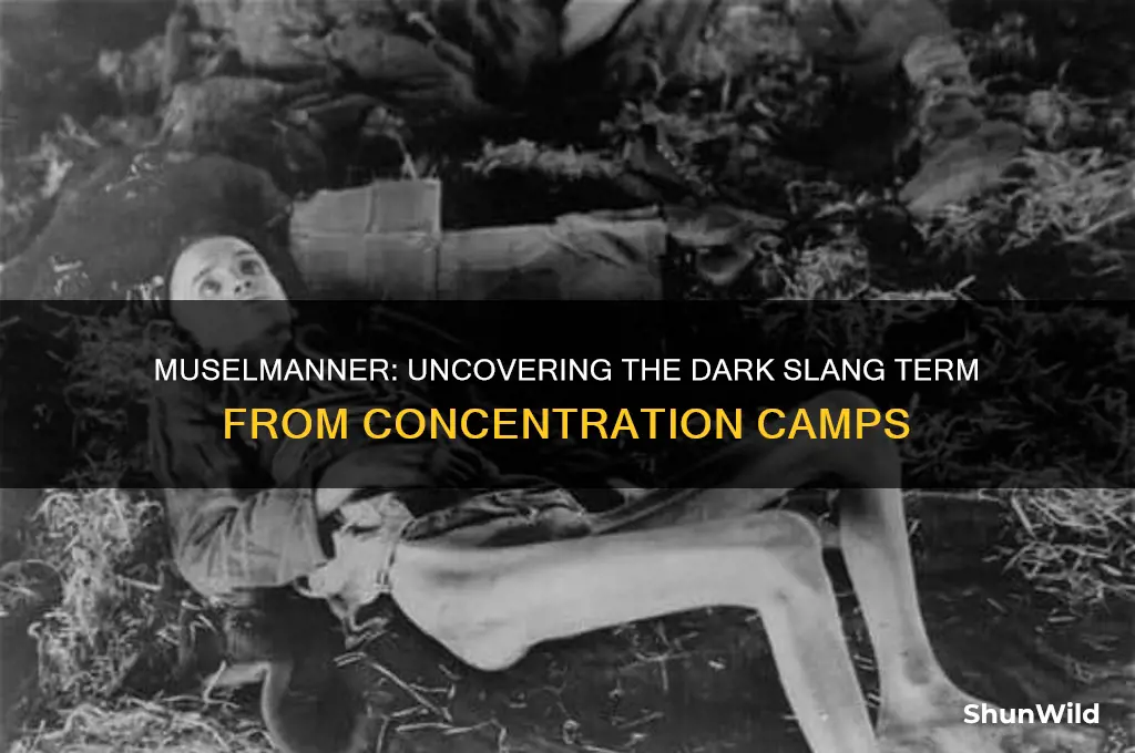 what was the term muselmanner slang for in concentration camps