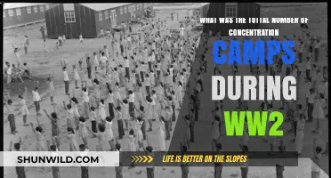 Unveiling the Scale: Concentration Camps During World War II
