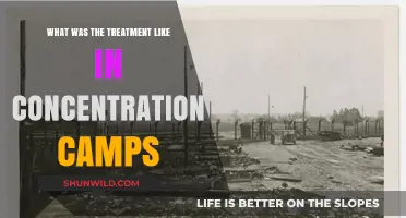 Unimaginable Cruelty: Treatment in Concentration Camps Revealed