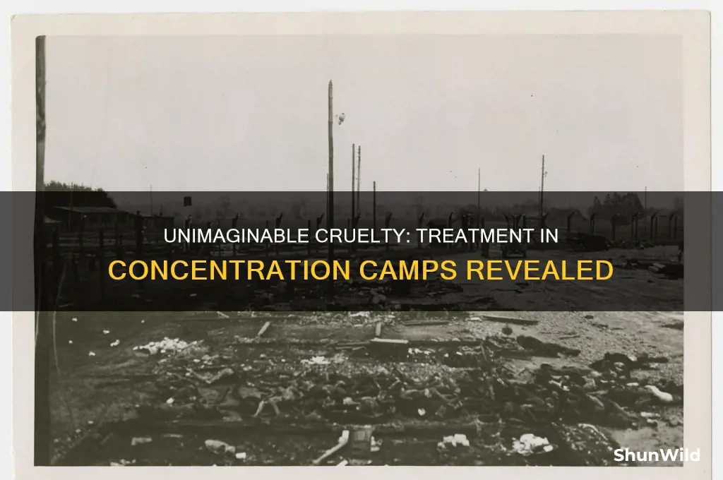 what was the treatment like in concentration camps