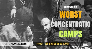 The Most Brutal Concentration Camps in History: A Dark Legacy