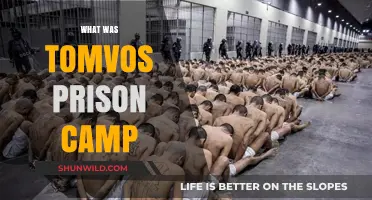 Unveiling the Horrors: Inside Tomvos Prison Camp