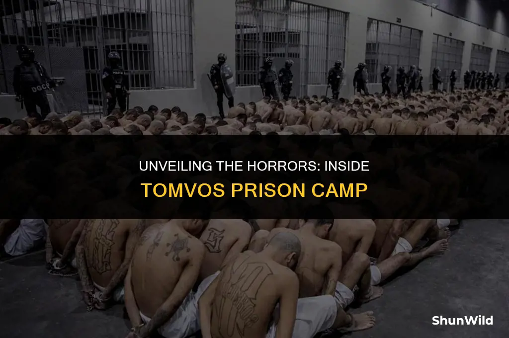 what was tomvos prison camp