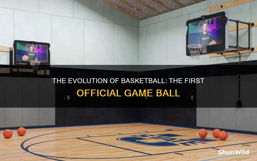 what was used as the first official basketball