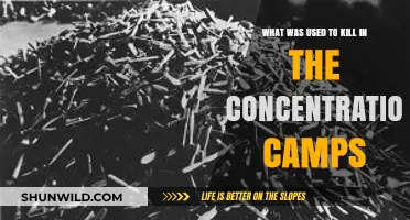 Deadly Methods: Uncovering the Tools of Nazi Concentration Camp Atrocities