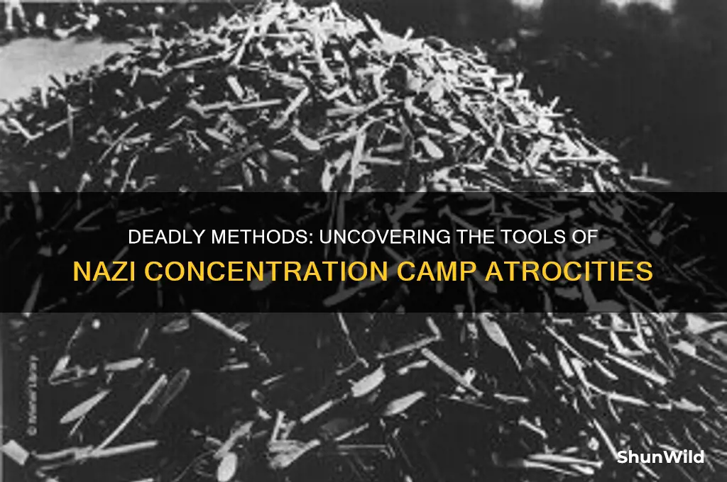 what was used to kill in the concentration camps