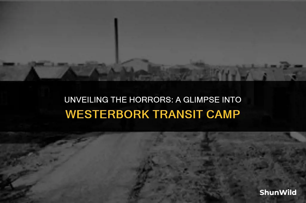 what was westerbork transit camp