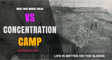 Gulag vs Concentration Camps: Comparing the Horrors of Totalitarian Regimes