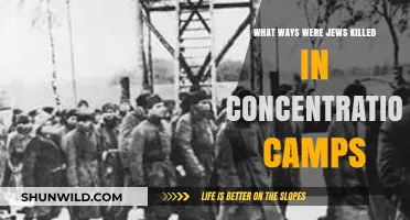 Methods of Genocide: How Jews Were Murdered in Concentration Camps