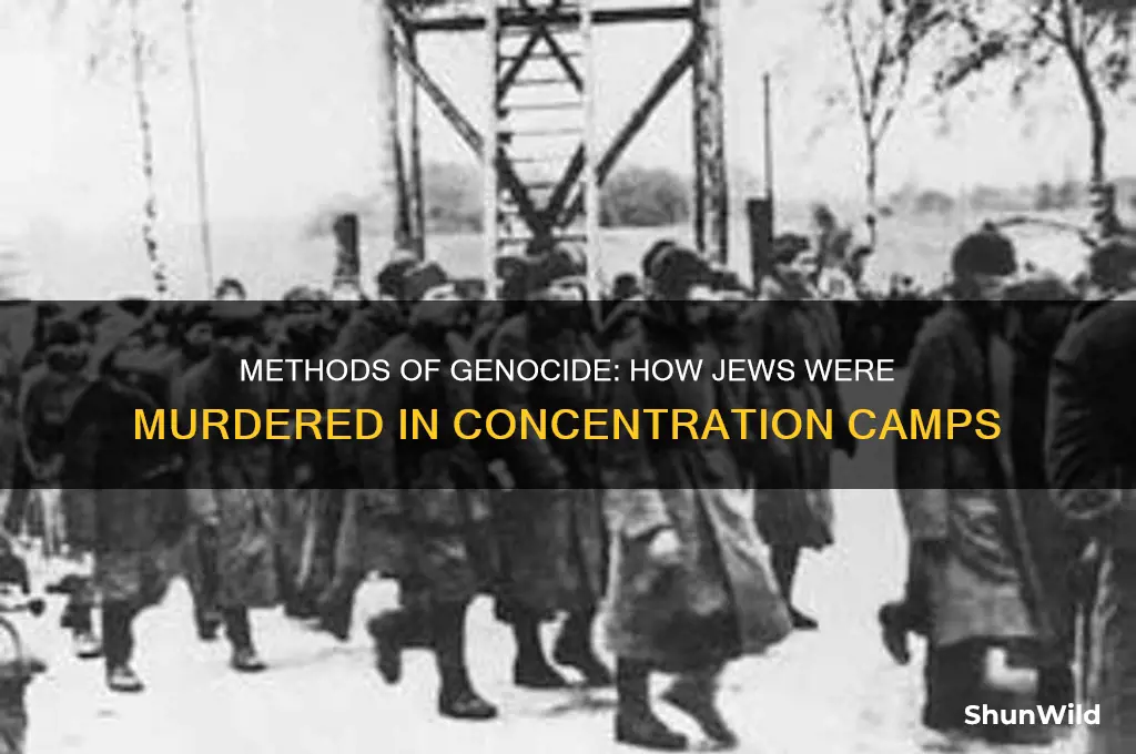 what ways were jews killed in concentration camps