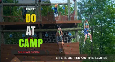 Summer Adventures: A Day in the Life at Camp