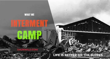 Unveiling the Hidden Horrors: Inside the Walls of Internment Camps