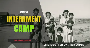 Unveiling the Hidden History: Life Inside Internment Camps