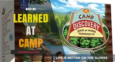Discoveries and Adventures: Our Unforgettable Camp Experience