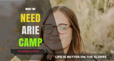 Unveiling the Essentials: What We Need at Arie Camp