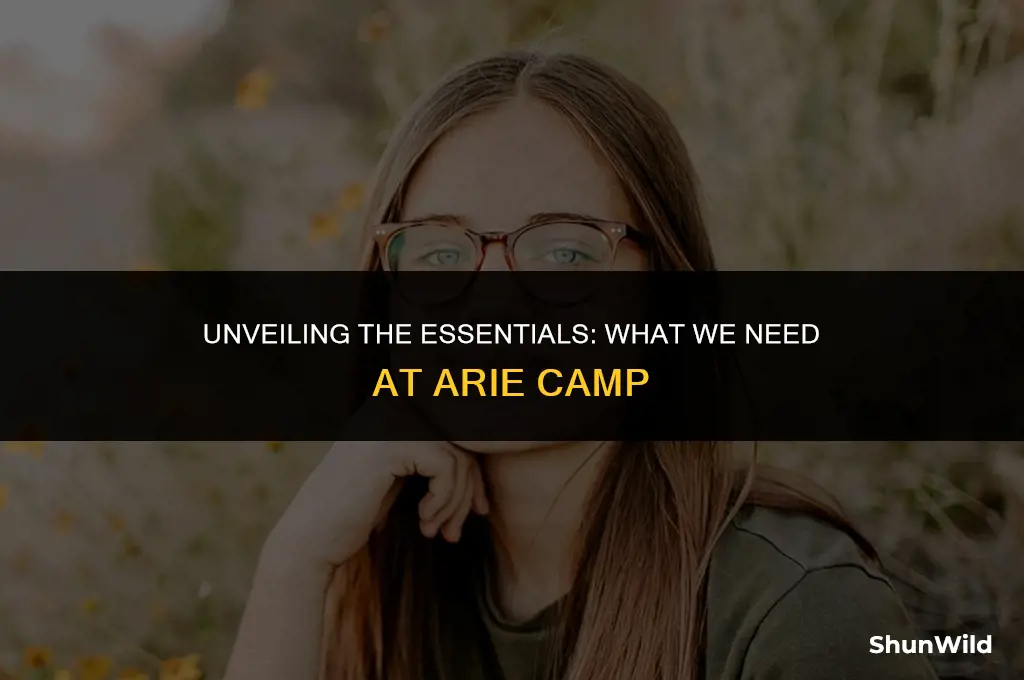 what we need arie camp
