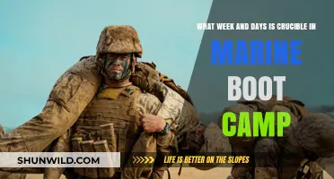 Crucible Challenge: Marine Boot Camp's Ultimate Test Week and Days