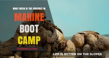 Crucible Challenge: When Does Marine Boot Camp's Ultimate Test Begin?