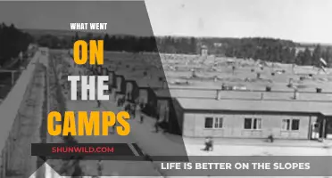 Unveiling the Truth: Inside the Camps
