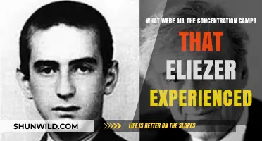 Eliezer's Harrowing Journey: The Concentration Camps He Endured