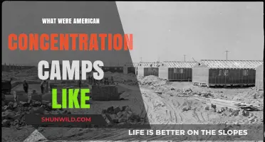 Unveiling the Harsh Realities of American Concentration Camps