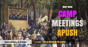 Revival in the Wilderness: Understanding Camp Meetings in APUSH