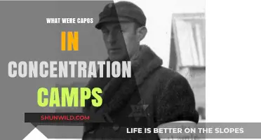 Capos in Concentration Camps: Roles, Responsibilities, and Moral Dilemmas