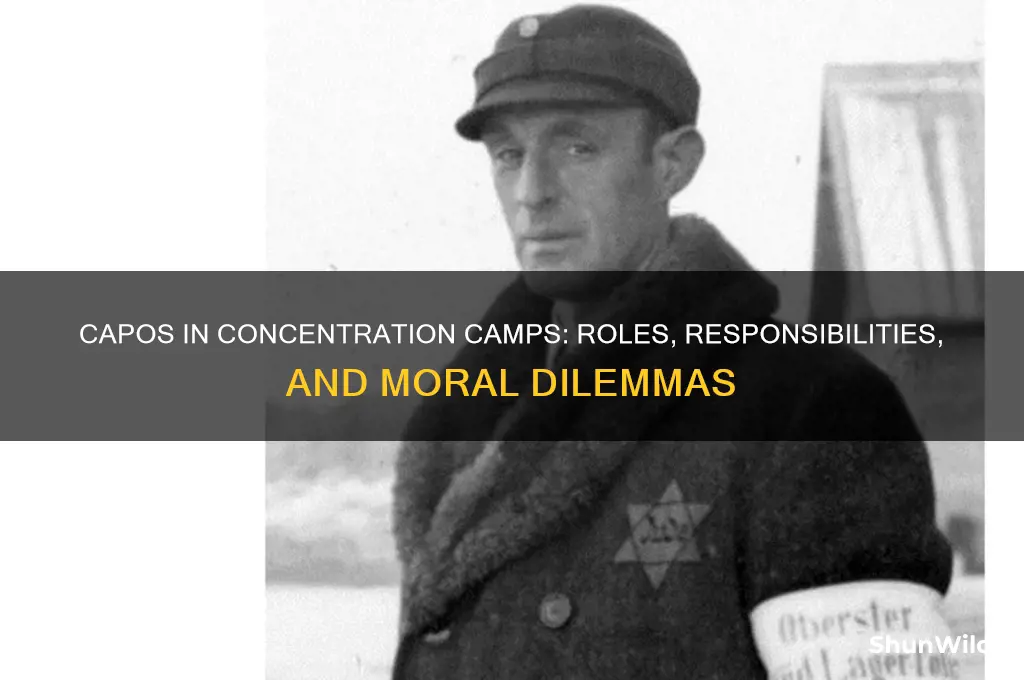 what were capos in concentration camps
