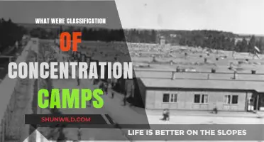 Understanding the Classification of Nazi Concentration Camps: A Historical Overview