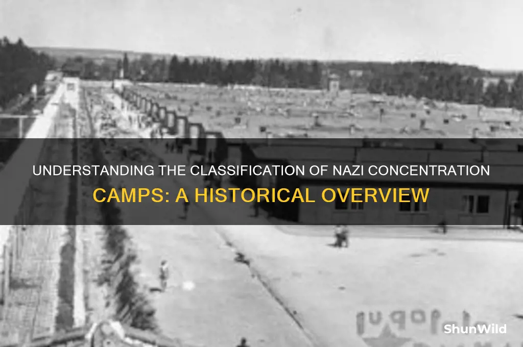 what were classification of concentration camps