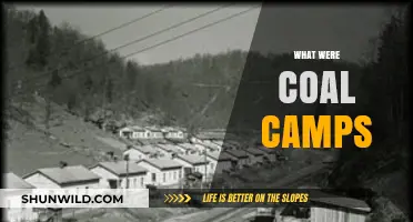 Unveiling the Forgotten Era: Life in America's Coal Camps