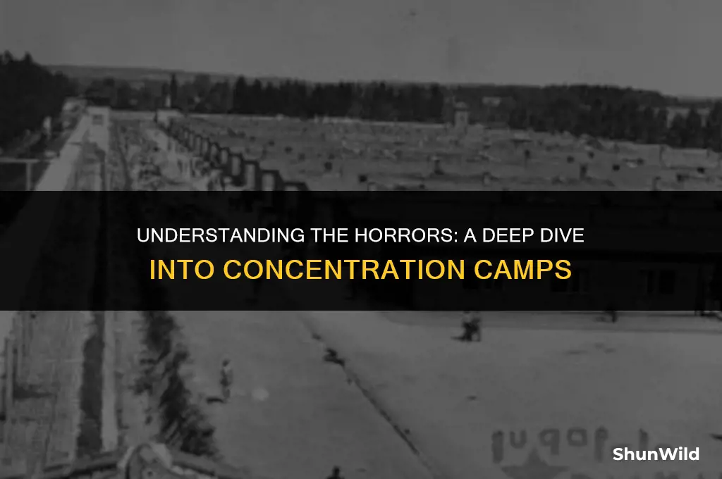 what were concentraion camps