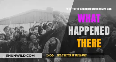 Concentration Camps: Uncovering the Horrors and History Within