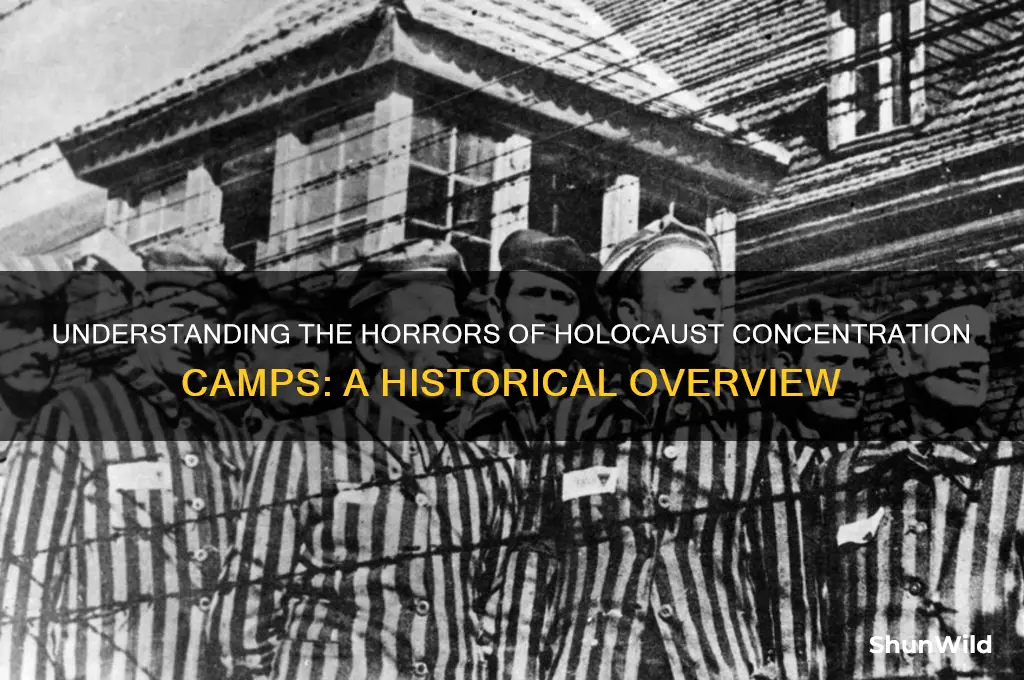 what were concentration camps during the holocaust