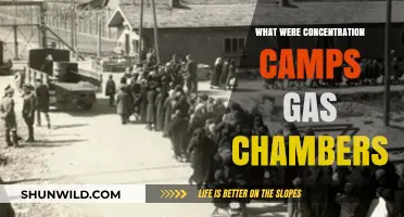 Unveiling the Horrors: Understanding Concentration Camps' Gas Chambers