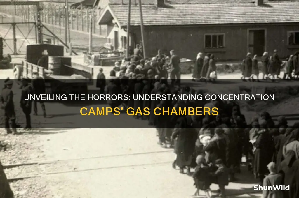 what were concentration camps gas chambers