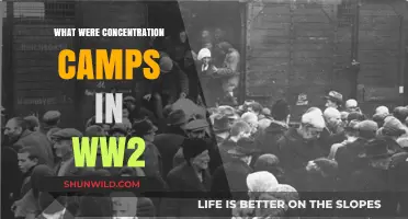 Unveiling the Horrors: Understanding WWII Concentration Camps and Their Legacy