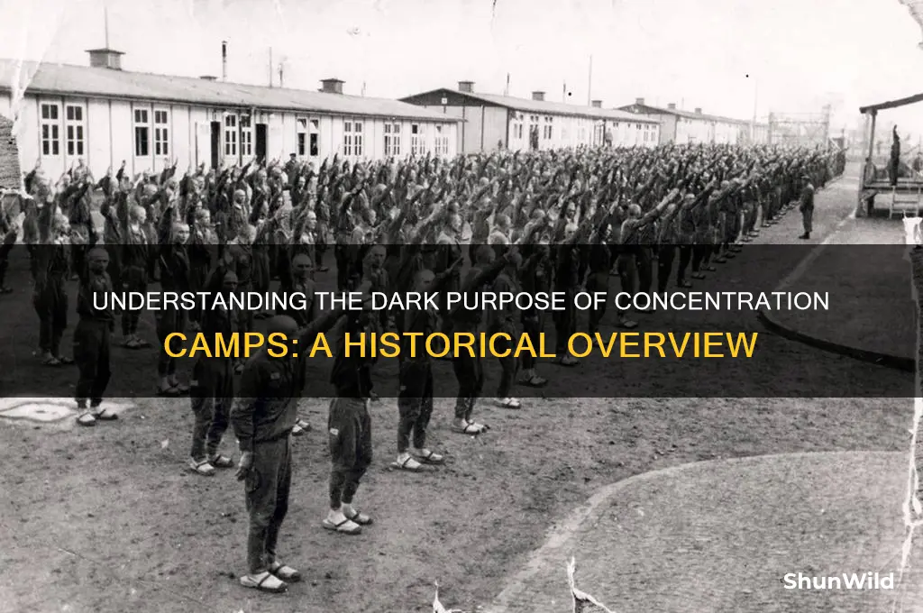 what were concentration camps made for