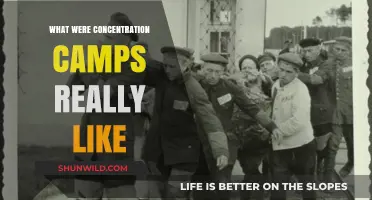 Unveiling the Brutal Reality of Concentration Camps: A Survivor's Perspective