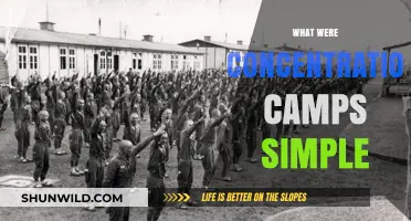 Understanding Concentration Camps: A Simple Explanation of Their Dark History