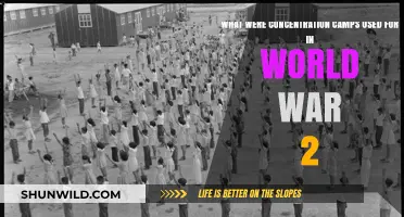 Concentration Camps in WWII: Purpose, Atrocities, and Historical Impact