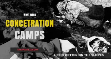 Unveiling the Horrors: A Deep Dive into Concentration Camps