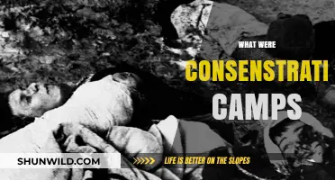 Understanding the Horrors: A Deep Dive into Concentration Camps