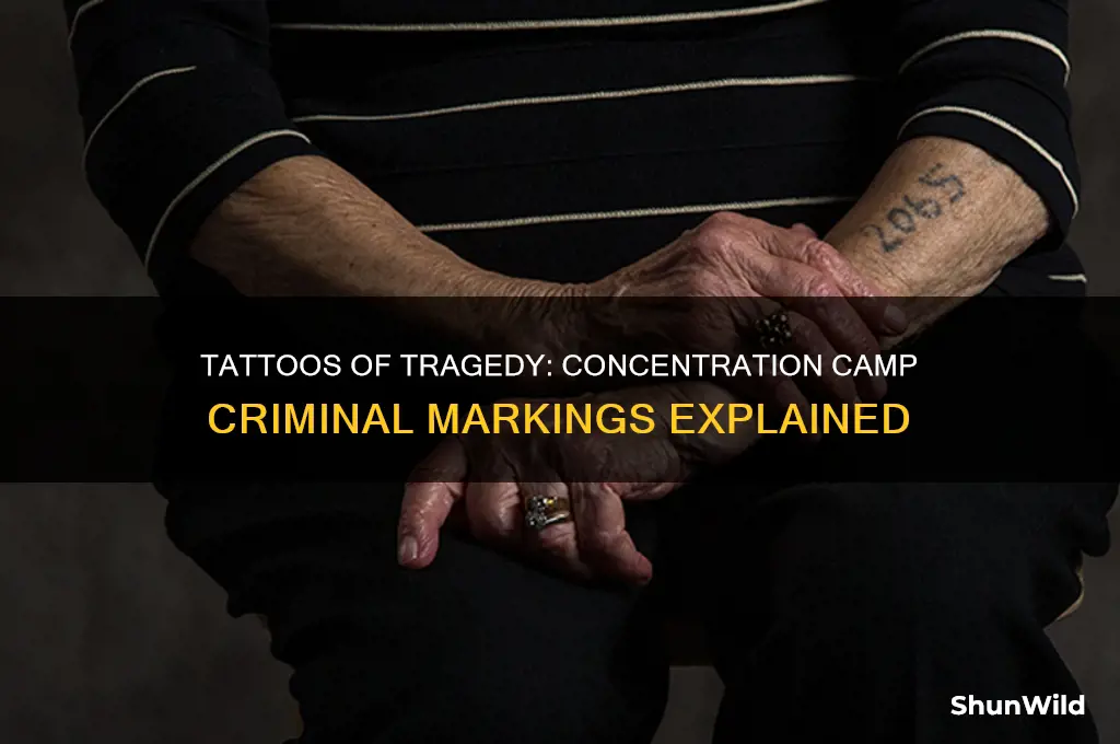 what were criminals marked with in concentration camps