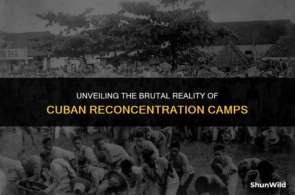 what were cuban reconcentration camps