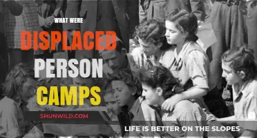 Unveiling the History and Impact of Displaced Person Camps