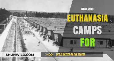 Understanding Euthanasia Camps: A Dark Chapter in History