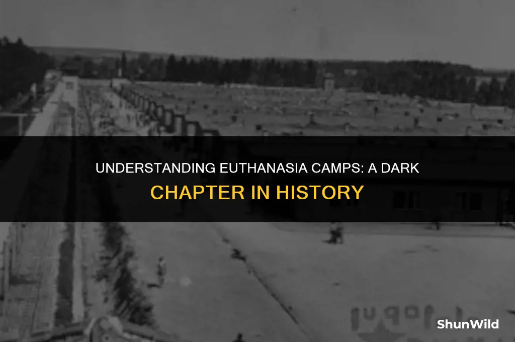 what were euthanasia camps for