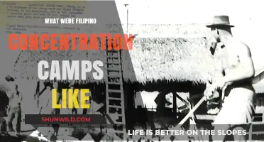 Filipino Concentration Camps: Life, Suffering, and Resilience During WWII